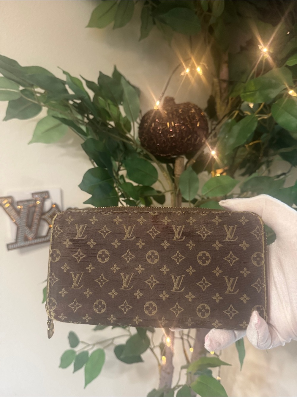 Louis Vuitton MiniLin Canvas Zip Wallet in Brown